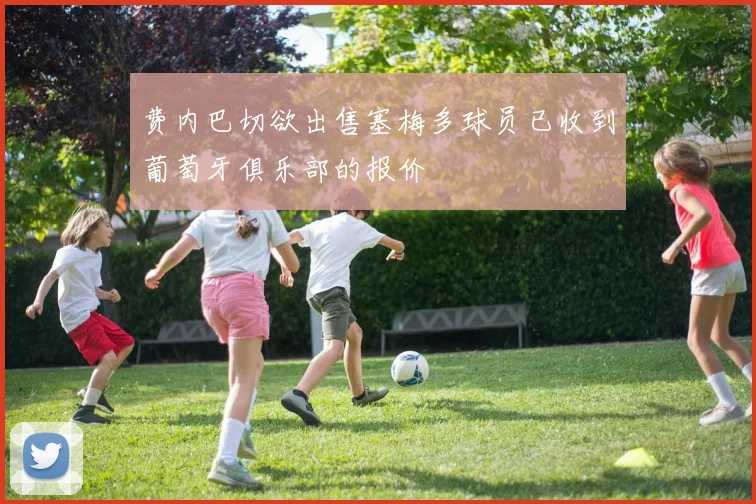 费内巴切欲出售塞梅多球员已收到葡萄牙俱乐部的报价