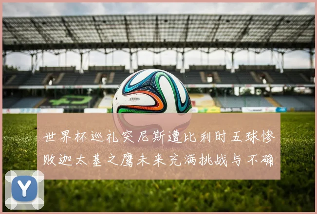世界杯巡礼突尼斯遭比利时五球惨败迦太基之鹰未来充满挑战与不确定性